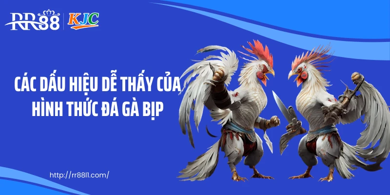 Các dấu hiệu dễ thấy của hình thức đá gà bịp