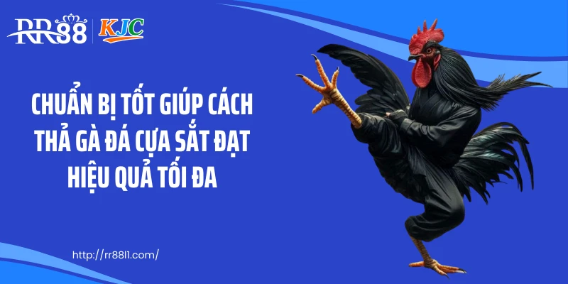 Chuẩn bị tốt giúp cách thả gà đá cựa sắt đạt hiệu quả tối đa