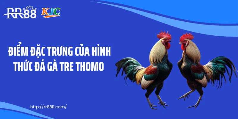Điểm đặc trưng của hình thức đá gà tre thomo