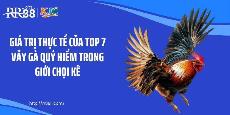 Giá trị thực tế của top 7 vảy gà quý hiếm trong giới chọi kê