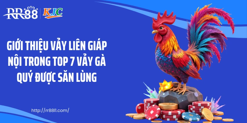 Giới thiệu vảy liên giáp nội trong top 7 vảy gà quý được săn lùng