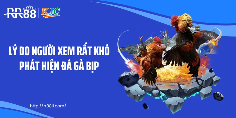 Lý do người xem rất khó phát hiện đá gà bịp