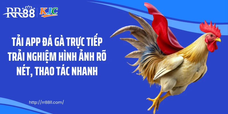 Tải app đá gà trực tiếp trải nghiệm hình ảnh rõ nét, thao tác nhanh