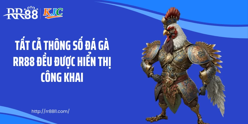 Tất cả thông số đá gà RR88 đều được hiển thị công khai