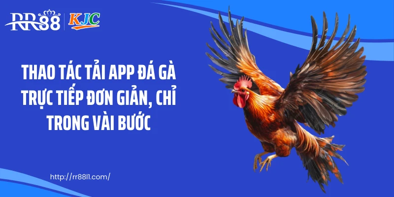 Thao tác tải app đá gà trực tiếp đơn giản, chỉ trong vài bước