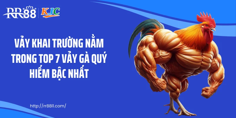 Vảy khai trường nằm trong top 7 vảy gà quý hiếm bậc nhất